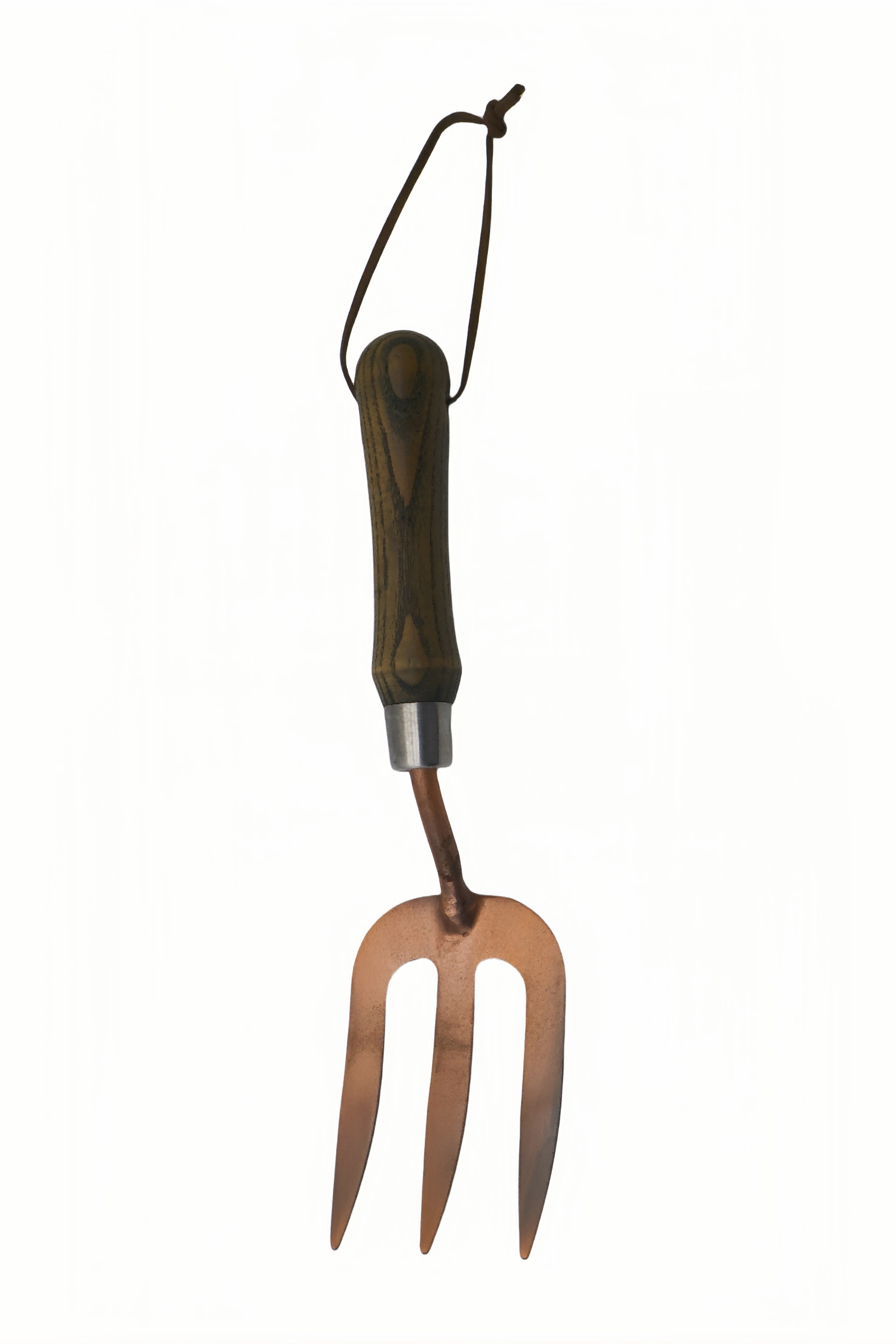 BD31B